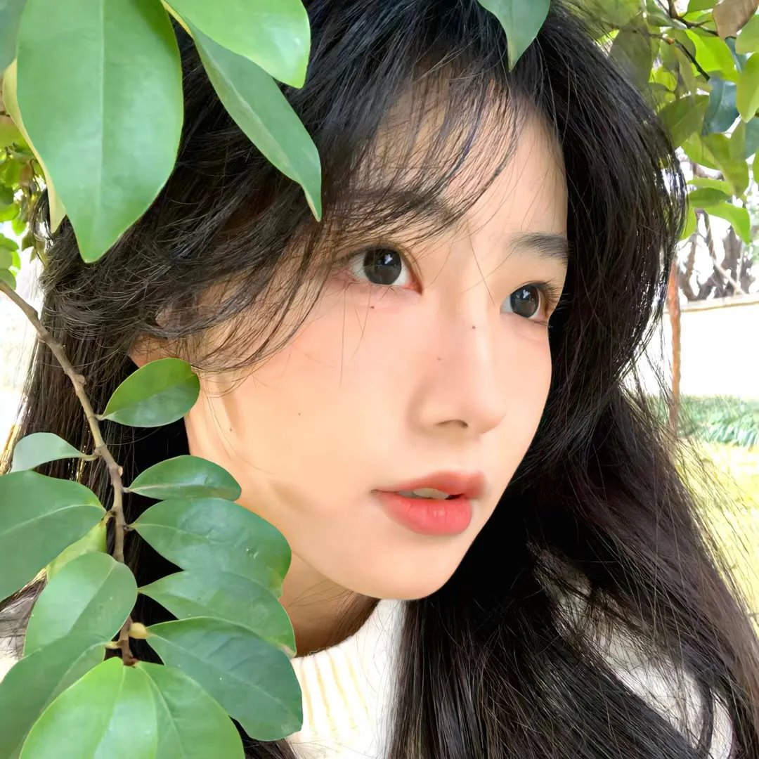 我的死对头竟是顶级恋爱脑